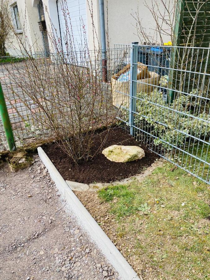 Pension Platzhirsch Mücke Buitenkant foto