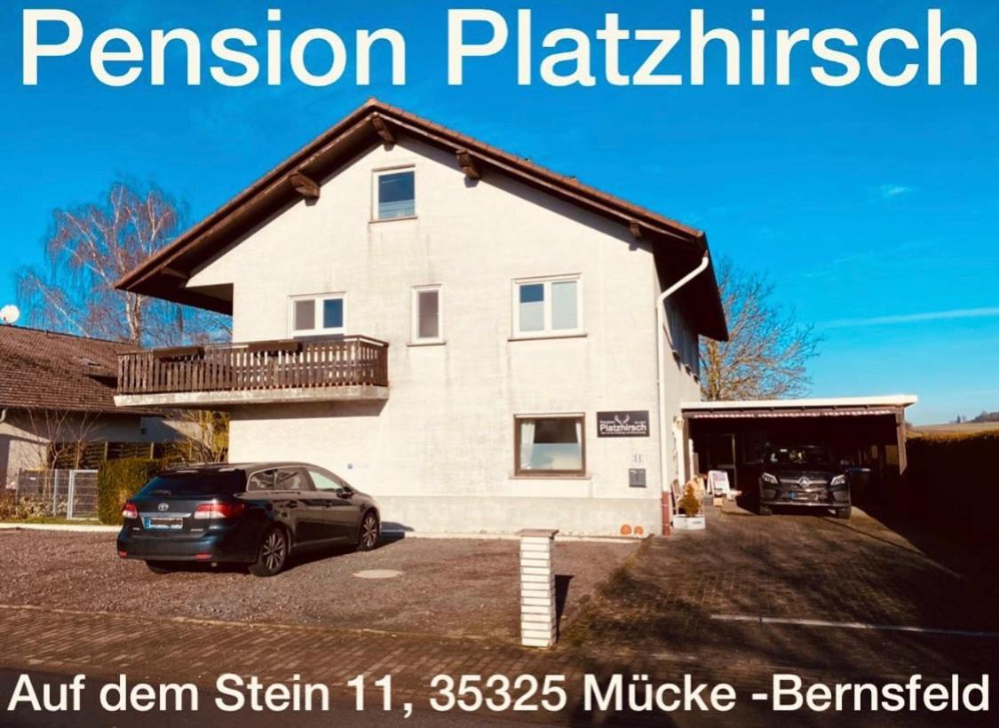 Pension Platzhirsch Mücke Buitenkant foto